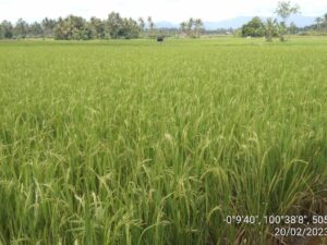 Pemanfaatan Citra Satelit dalam Mendukung Ketahanan Pangan