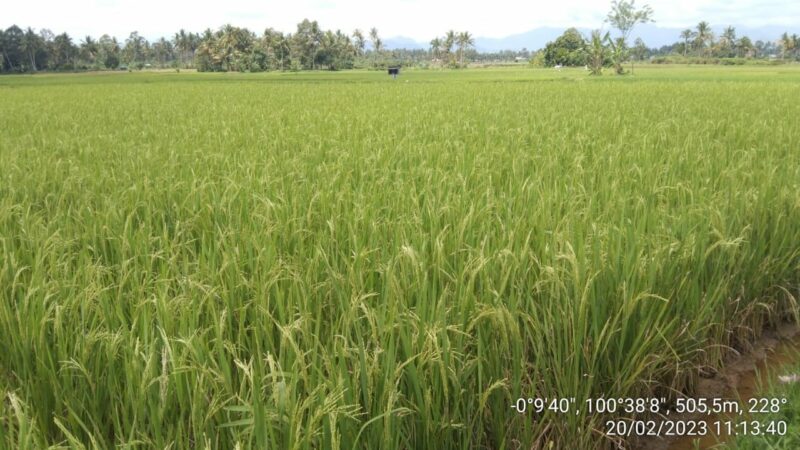 Pemko Padang Susun Ranperda Penyelenggaraan Pangan