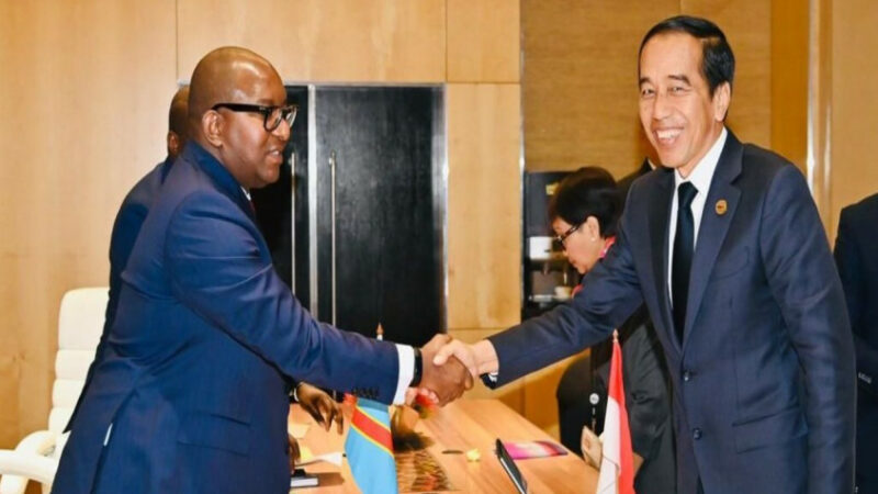 Jokowi Tegaskan Komitmen Indonesia Dukung Kerjasama Pengembangan Nilai Ekonomi Hutan dengan Kongo