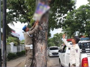 Salahi Aturan, Pol PP Padang Tertibkan Reklame Hingga Baliho