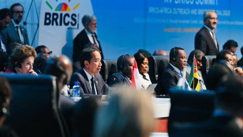 Hadiri KTT BRICS, Jokowi Tegaskan Hak Negara Berkembang Perlu Diperjuangkan Bersama