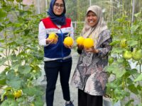 Kampung Apar, Desa Energi Berdikari Pertamina