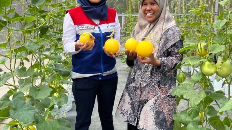 Kampung Apar, Desa Energi Berdikari Pertamina