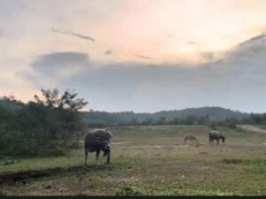 Mahasiswa dan Dosen Unand Data Potensi Pertanian di Sawahlunto