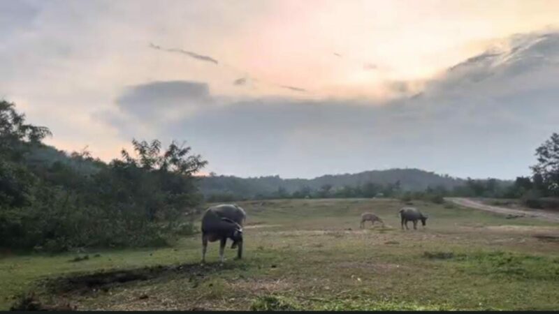 Mahasiswa dan Dosen Unand Data Potensi Pertanian di Sawahlunto