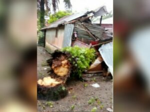 Sebuah rumah di Jorong Muaro Putuih, Nagari Tiku IV Jorong, Kecamatan Tanjung Mutiara, Kabupaten Agam, ditimpa pohon tumbang pada Senin