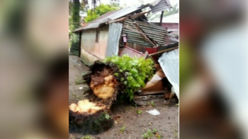 Sebuah rumah di Jorong Muaro Putuih, Nagari Tiku IV Jorong, Kecamatan Tanjung Mutiara, Kabupaten Agam, ditimpa pohon tumbang pada Senin