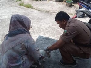 UPT Puskeswan Dinas Pangan dan Pertanian Padang Panjang melakukan vaksinasi massal rabies di empat lokasi di Kelurahan Bukit Surungan,