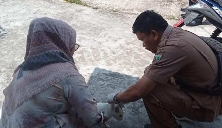 UPT Puskeswan Dinas Pangan dan Pertanian Padang Panjang melakukan vaksinasi massal rabies di empat lokasi di Kelurahan Bukit Surungan,