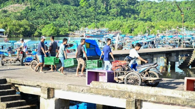 Pemprov Sumbar Targetkan Seluruh Kapal Perikanan Miliki Izin PKPP Sampai Akhir 2023