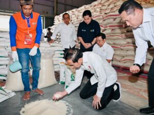 Harga Komoditas di Padang Panjang: Beras Kualitas III Naik, Kualitas I dan II Turun