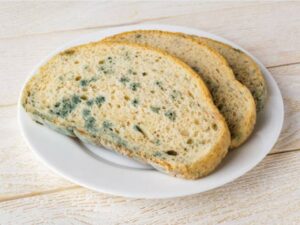 Mual, muntah dan diare merupakan gejala awal dari keracunan makanan. Seseorang mengalami keracunan makanan basi disebabkan oleh memakan