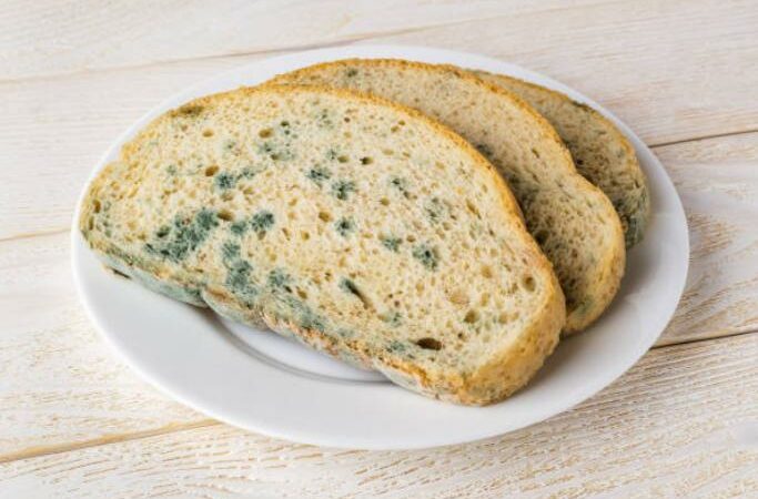 Mual, muntah dan diare merupakan gejala awal dari keracunan makanan. Seseorang mengalami keracunan makanan basi disebabkan oleh memakan