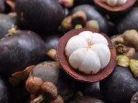 Hingga Agustus 2023, sebanyak 7.092 kilogram buah manggis sudah diekspor ke China. Buah manggis yang diekspor ke China