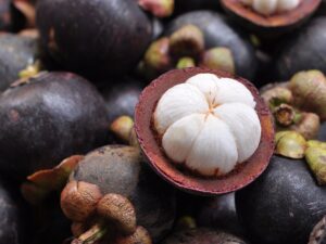 Hingga Agustus 2023, sebanyak 7.092 kilogram buah manggis sudah diekspor ke China. Buah manggis yang diekspor ke China