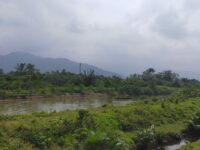 Meski sempat diguyur hujan beberapa hari yang lalu, namun saat ini kondisi Kota Padang kembali diselimuti kabut tebal. Dinas Lingkungan Hidup (DLH) menyebu