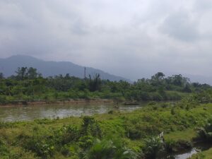 Meski sempat diguyur hujan beberapa hari yang lalu, namun saat ini kondisi Kota Padang kembali diselimuti kabut tebal. Dinas Lingkungan Hidup (DLH) menyebu