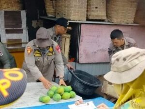 Surat Peringatan Tak Dipatuhi, Pol PP Tertibkan PKL di Seberang Padang