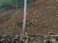 Situs Diduga Peradaban Era Neolitik-Megalitik Ditemukan di Lubuk Alung