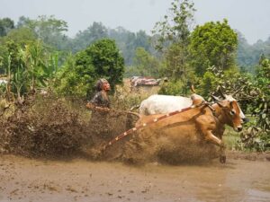 Pemprov Sumbar resmi meluncurkan Calendar of Event (CoE) atau Kalender Event Pariwisata untuk tahun 2025. Gubernur Sumbar, Mahyeldi