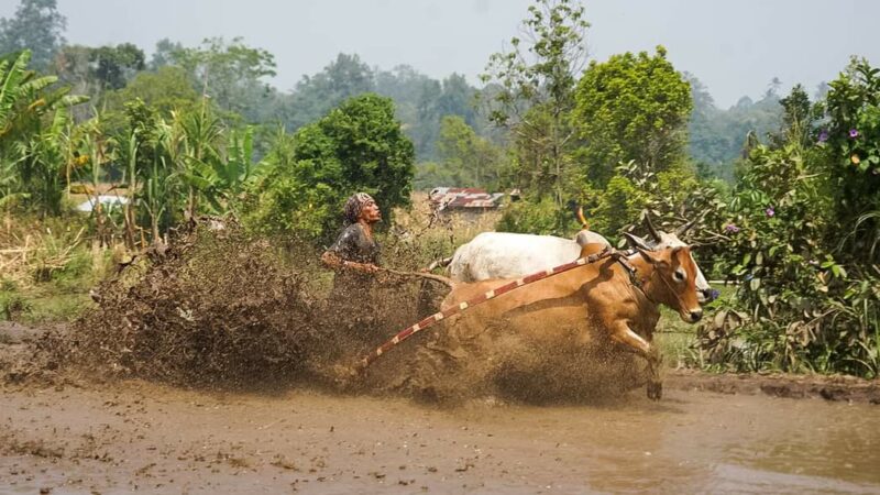 Pemprov Sumbar resmi meluncurkan Calendar of Event (CoE) atau Kalender Event Pariwisata untuk tahun 2025. Gubernur Sumbar, Mahyeldi