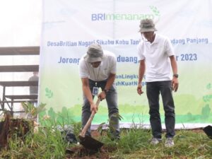 BRI Regional Padang Program BRI Menanam