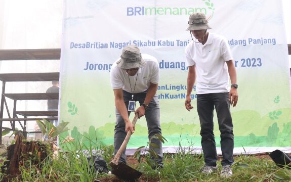 BRI Regional Padang Program BRI Menanam