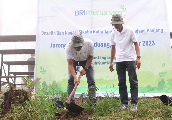BRI Regional Padang Program BRI Menanam