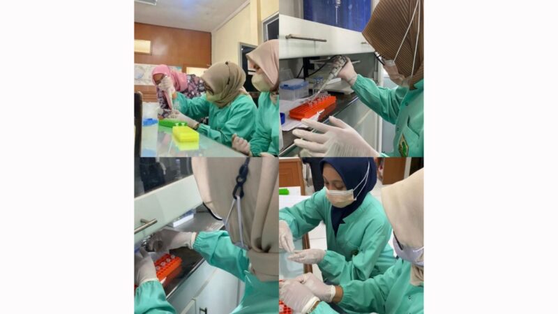 Mahasiswa Biomedis dan Farmasi Unand Buktikan Daun Sungkai jadi Obat Kanker Payudara