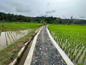 Tinjau JUT Sipingai, Supardi: Untuk Tingkatkan Produksi Pertanian