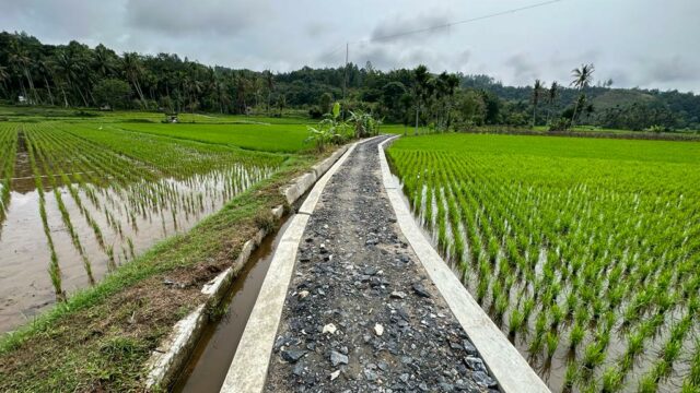 Jalan Usaha Tani di Nagari Gadut Dibuka untuk Tingkatkan Perekonomian Warga