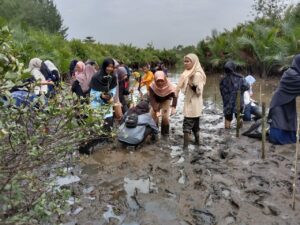 MLH Muhammadiyah Sumbar Ajak Penanaman Mangrove untuk Meningkatkan Ekosistem Pesisir