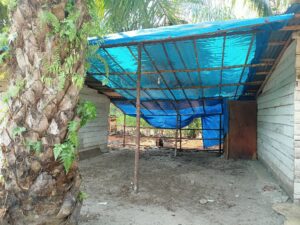 Sulitnya Jemaat Kristiani Beribadah di Perkebunan Sawit Sumbar