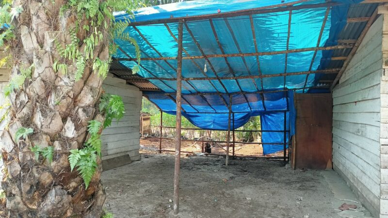 Sulitnya Jemaat Kristiani Beribadah di Perkebunan Sawit Sumbar