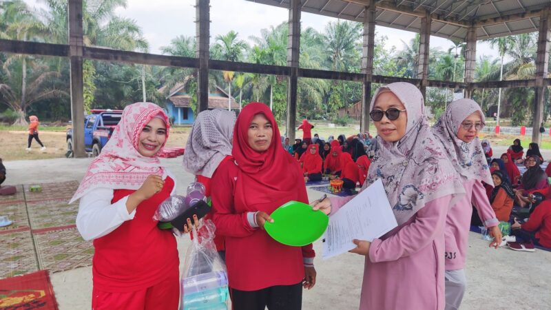 Kelompok lansia Saiyo Sakato Beringin Sakti pernah membawa nama baik Kabupaten Dharmasraya ke Top 45 KIPP KemenpanRB tahun 2021 dengan