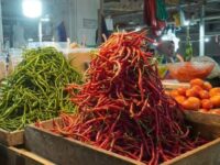 Harga Cabai di Pasar Padang Panjang Turun Bersamaan
