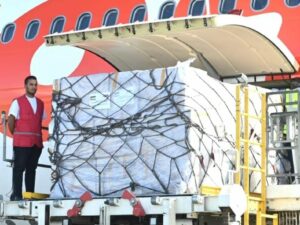 Pesawat Ketiga Pembawa Bantuan Indonesia untuk Palestina Tiba di El Arish