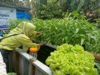 AQUA Solok Bantu Petani Kembangkan Pertanian Terintegrasi, Hasil dan Harga Meningkat