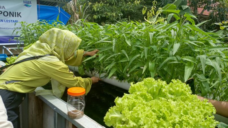 AQUA Solok Bantu Petani Kembangkan Pertanian Terintegrasi, Hasil dan Harga Meningkat