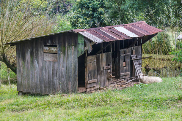 Warga Lubuk Basung Tinggal di Gubuk Reyot, Begini Respons Pemerintah Nagari