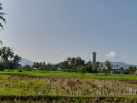 Kualitas Udara di Padang Membaik Pasca Hujan, Langit Biru Mulai Terlihat