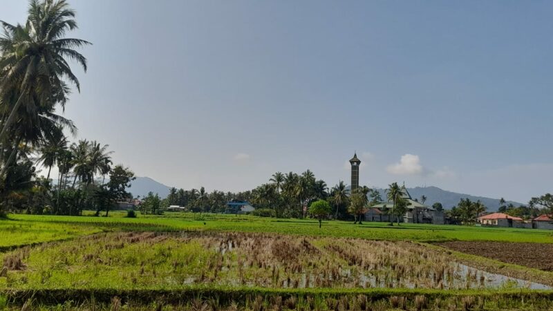 Kualitas Udara di Padang Membaik Pasca Hujan, Langit Biru Mulai Terlihat