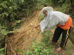 Petani di Kaki Bukit Barisan Terkebat Perubahan Iklim