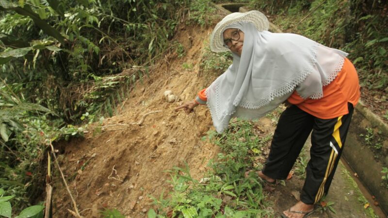 Petani di Kaki Bukit Barisan Terkebat Perubahan Iklim