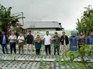 Padang Panjang Gerakkan Tanam Cabai di Pekarangan