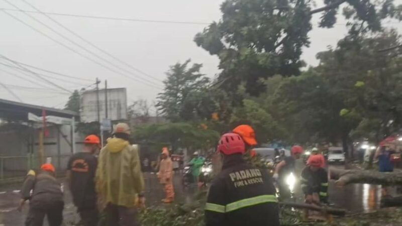 Satpol PP dan Unsur Kebencanaam Pemko Padang Evakuasi Sejumlah Pohon Tumbang