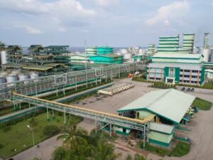 Apical Group Tuntaskan Bangun Pabrik Minyak Goreng dan Biodiesel di Sumbar