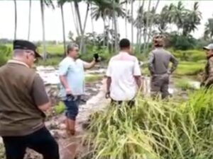 Bupati Tanah Datar, Eka Putra meninjau lokasi banjir lahar dingin di Batang Lona Lima Kaum pada Jumat (5/3/2024). Pada kesempatan itu, Eka