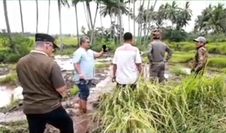 Bupati Tanah Datar, Eka Putra meninjau lokasi banjir lahar dingin di Batang Lona Lima Kaum pada Jumat (5/3/2024). Pada kesempatan itu, Eka