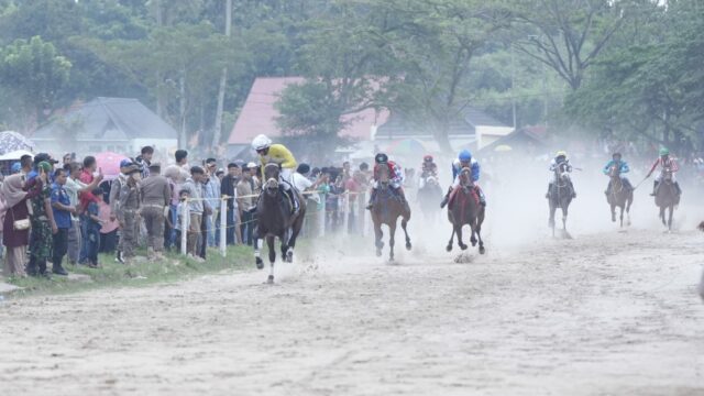 Tanah Datar Gelar Pacuan Kuda Mulai Hari Ini